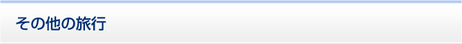 その他の旅行